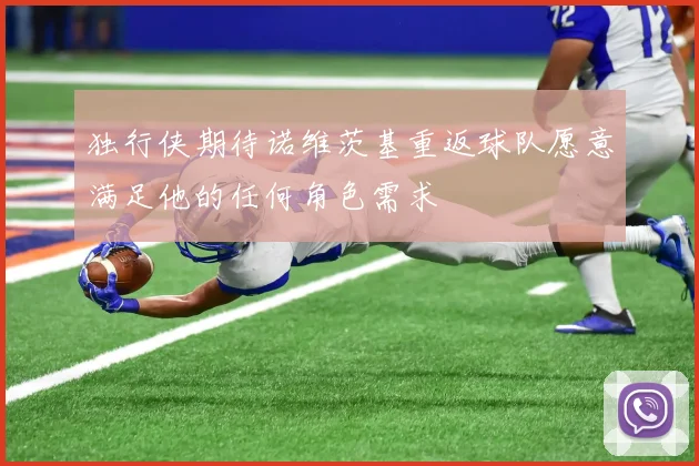 独行侠期待诺维茨基重返球队愿意满足他的任何角色需求