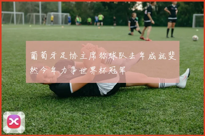 葡萄牙足协主席称球队去年成就斐然今年力争世界杯冠军
